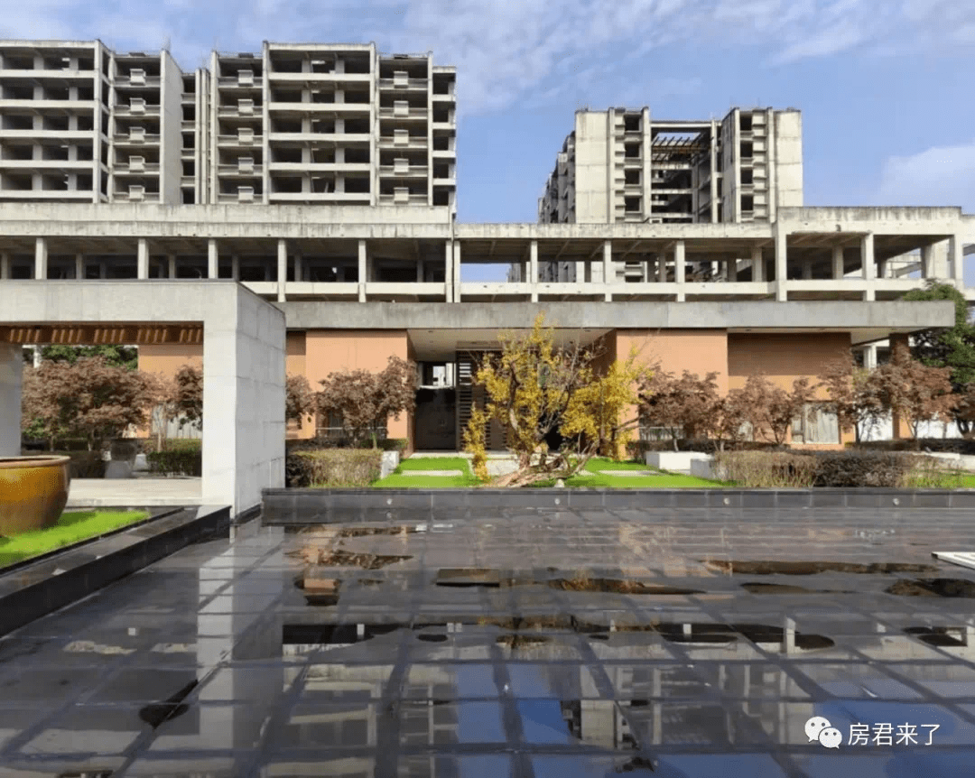 这个项目终于"活"了!金地集团已与乡林集团达成合作_林涵碧