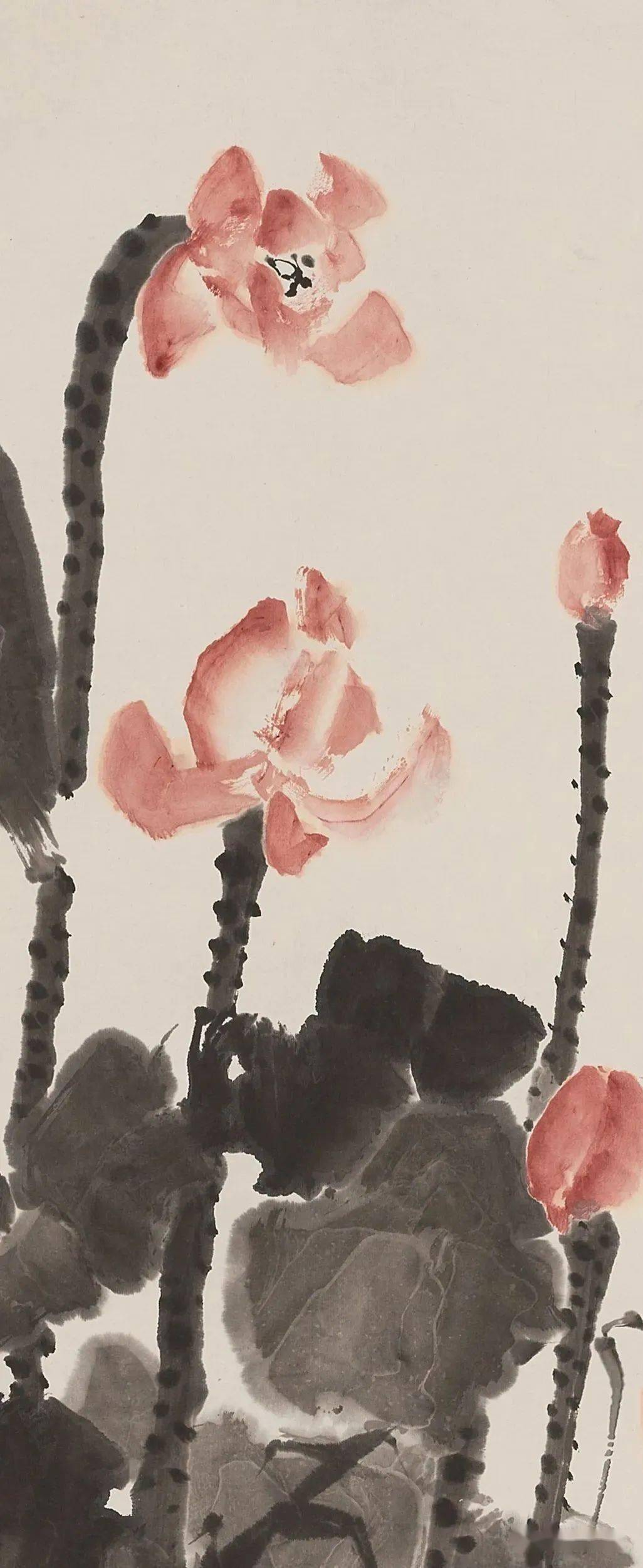 石鲁3幅独特的荷花图!