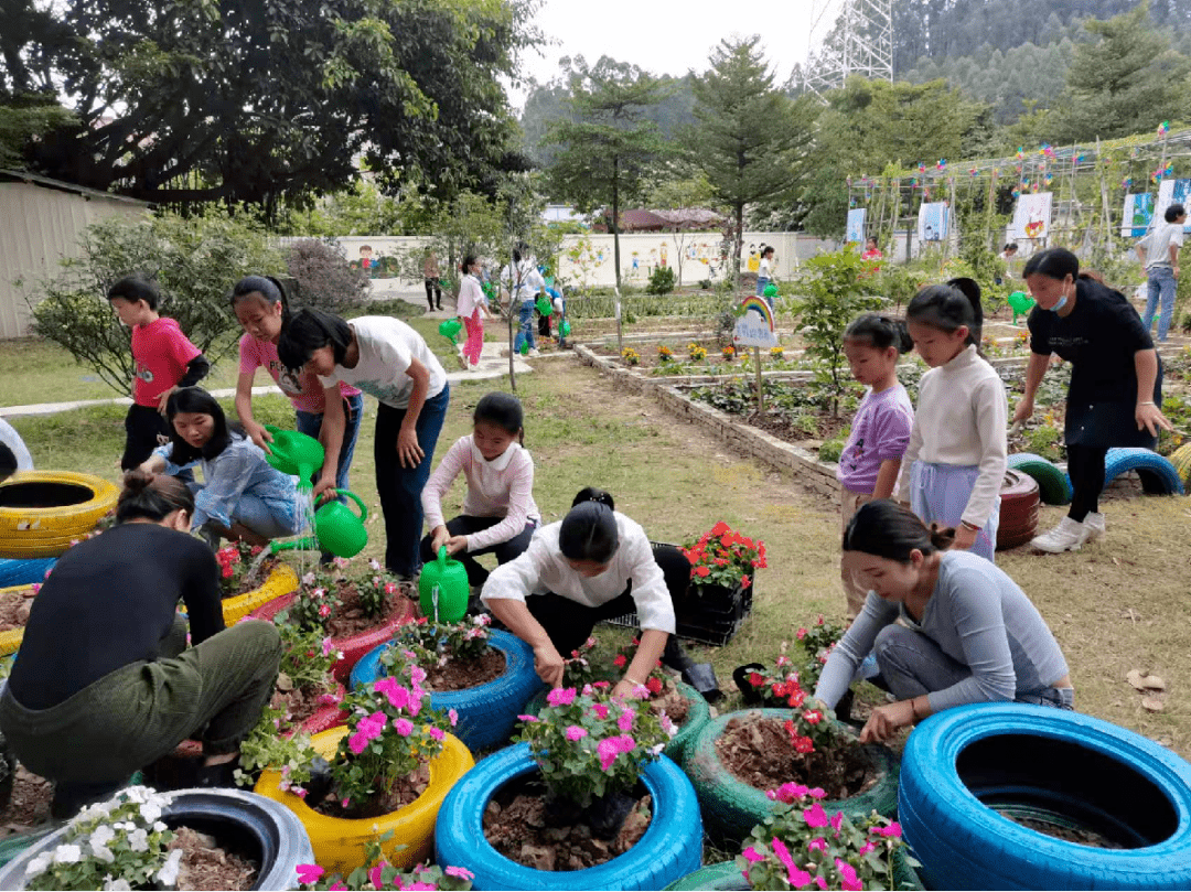 快看石壁小學校園裡藏了一個超美的小菜園