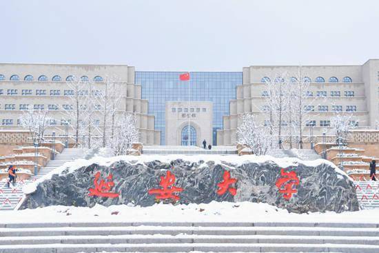 城市学院|高校初雪