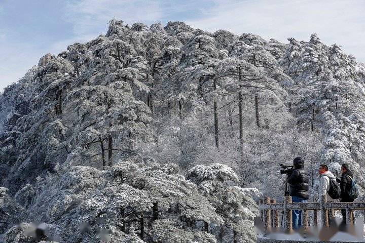 银装|雪后黄山银装素裹