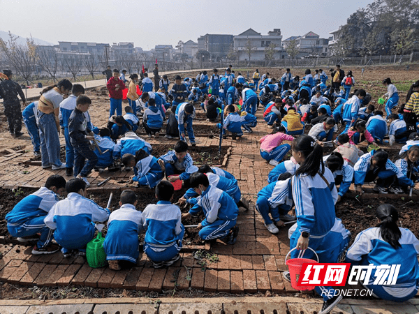 课堂|“双减”在行动——新邵县酿溪三小把课堂“搬到”研学基地