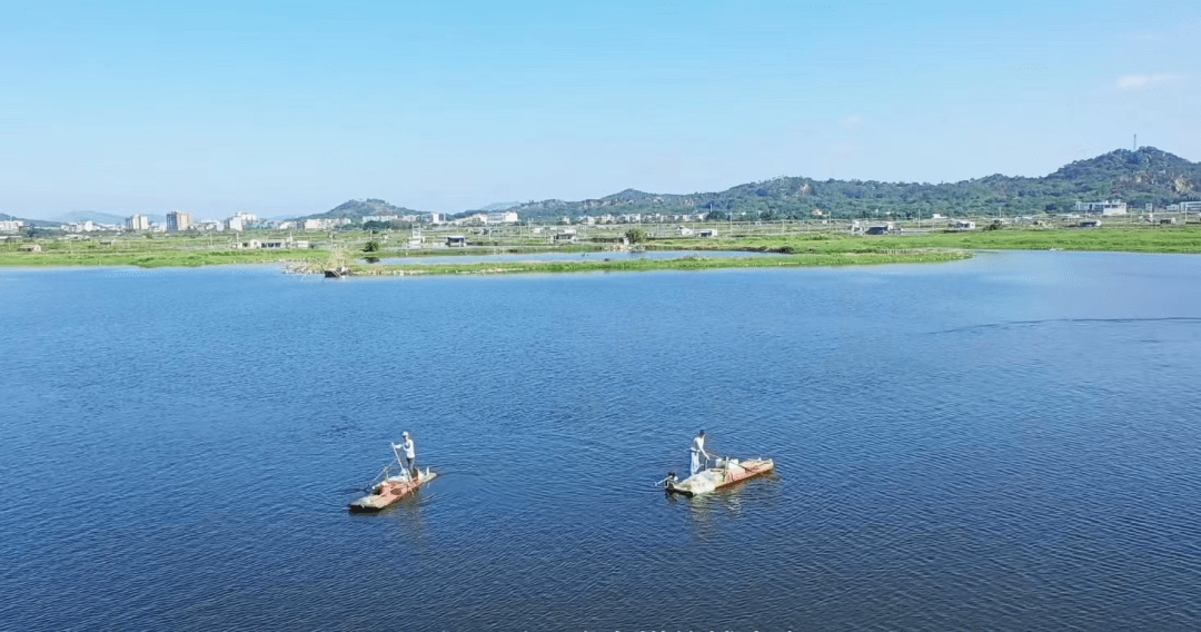 饒平美景一片美如畫卷的海澄饒聯圍