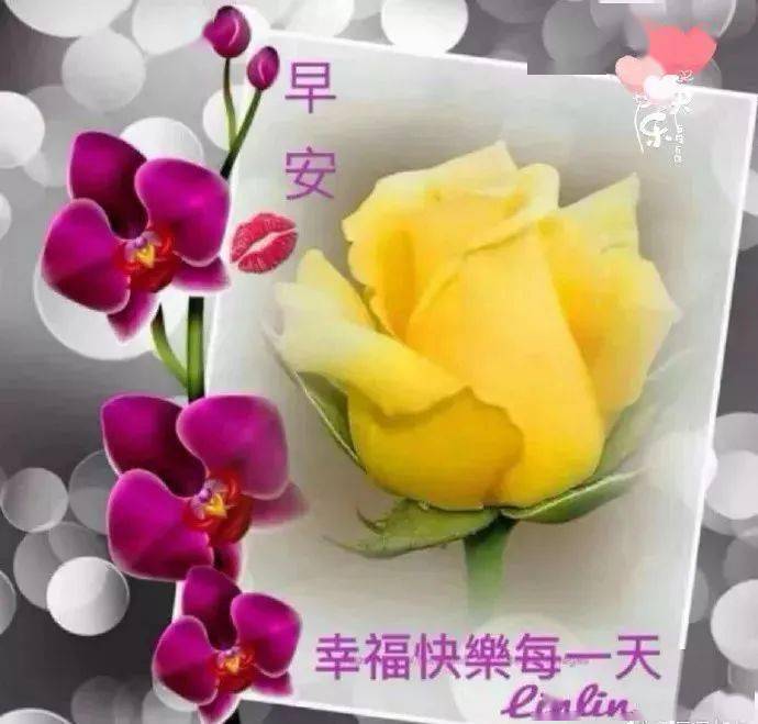 【早安馨语】唯美聊天送给朋友们!