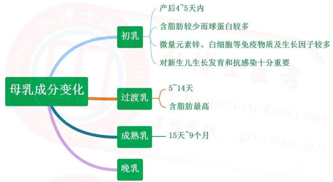 儿科护理学的手抄报图片