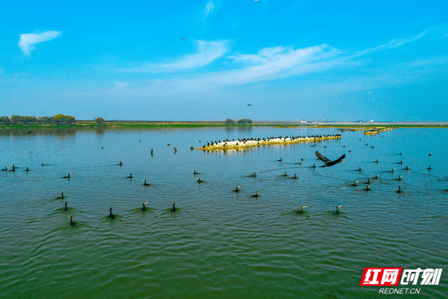 “水陆空铁”全开，洞庭湖联通世界丨海边湖南·交通达海⑤