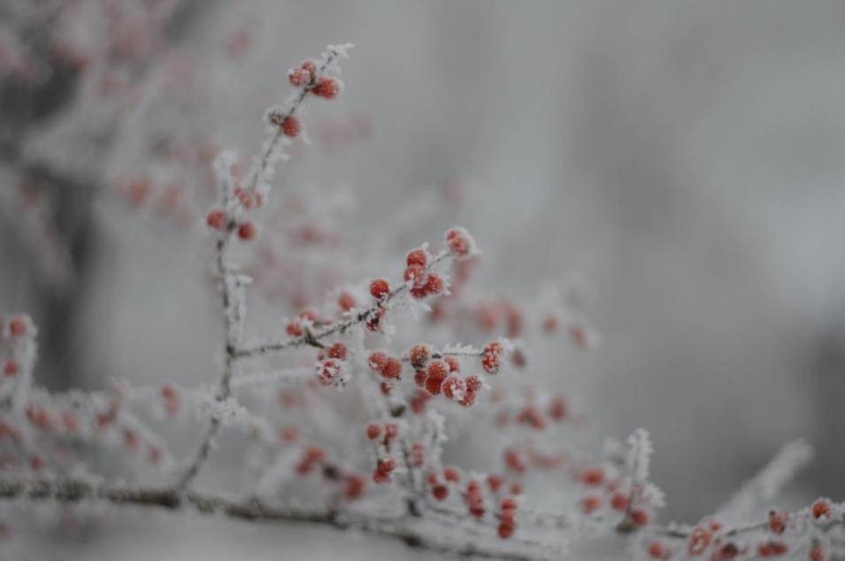 冬日|【雪落象牙塔】哈师大：冰天雪地换新颜