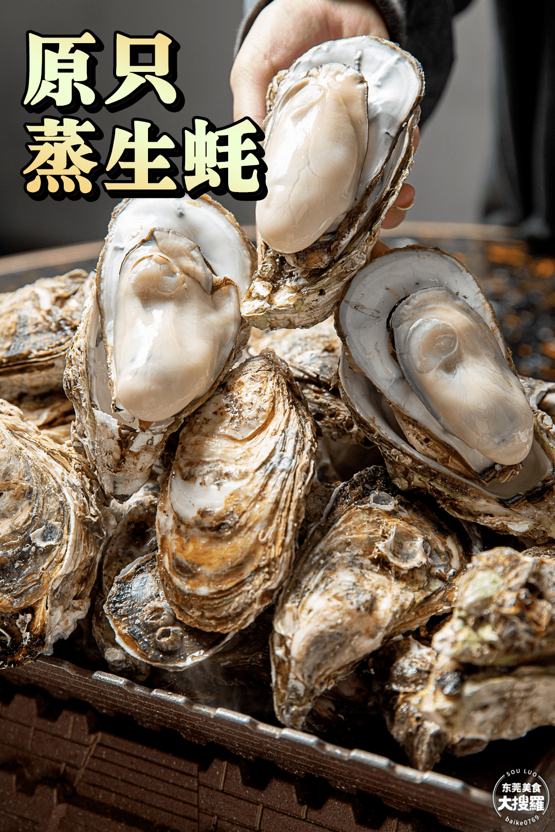 原只蒸生蚝"点食最过瘾?来get!