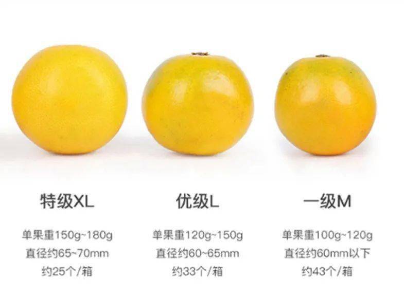 橙子的味道更浓,微微带有果酸  中果/优级果:  清甜如初恋!适合