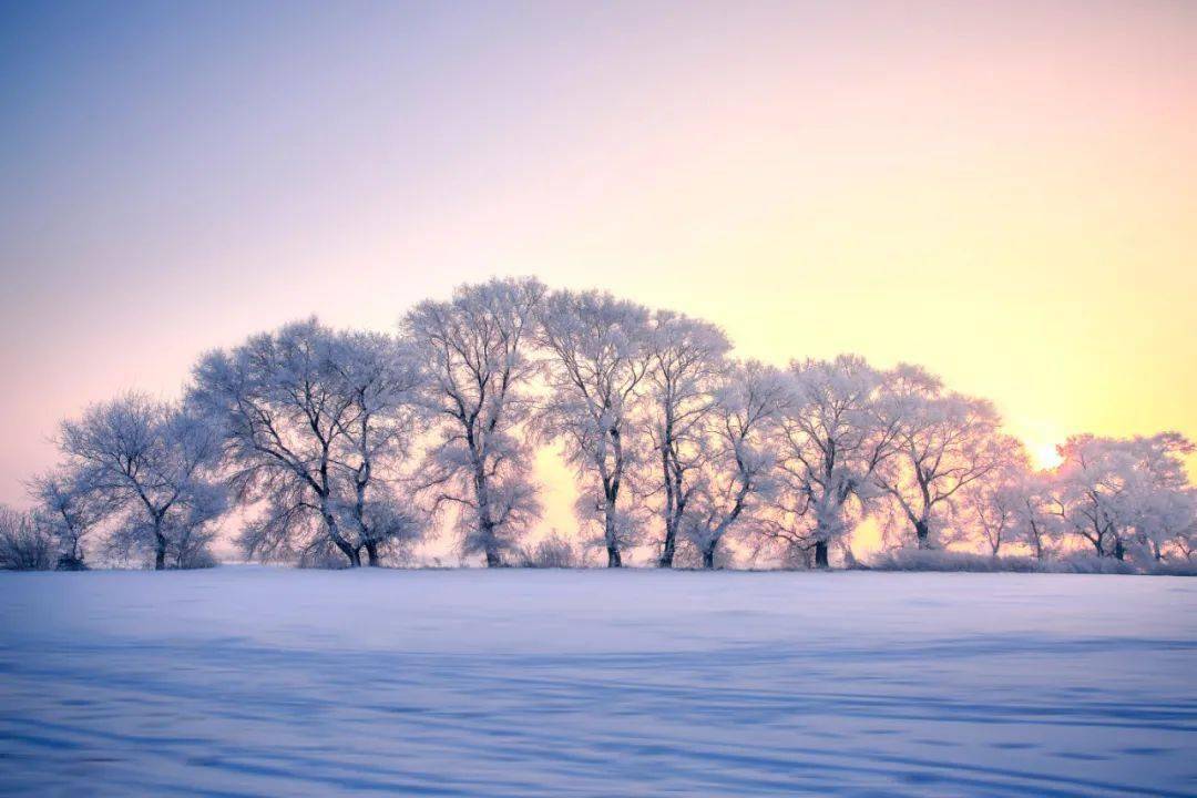 版权|邂逅唐诗宋词中的雪，邂逅最美的冬天