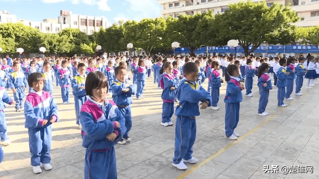 楚雄市环城小学图片