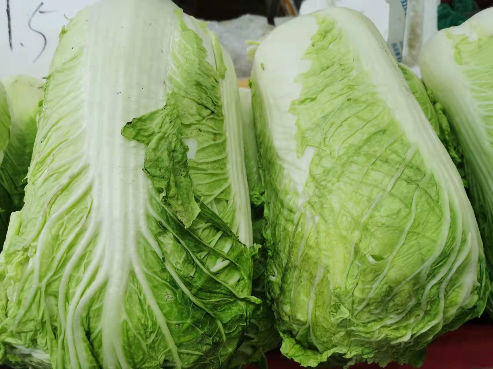 百菜不如白菜 关于白菜的这些知识你了解吗 顾中