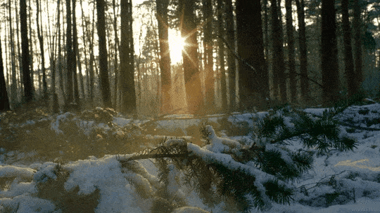 362c712e92c4405595ba97ed4f94ea91.gif