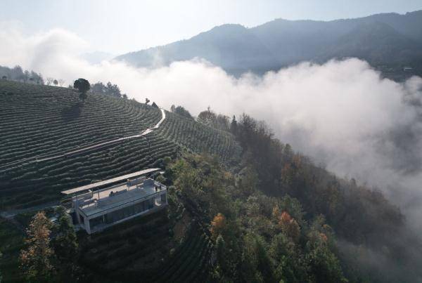 冬日茶乡 山水画廊_紫阳_汉江_茶山