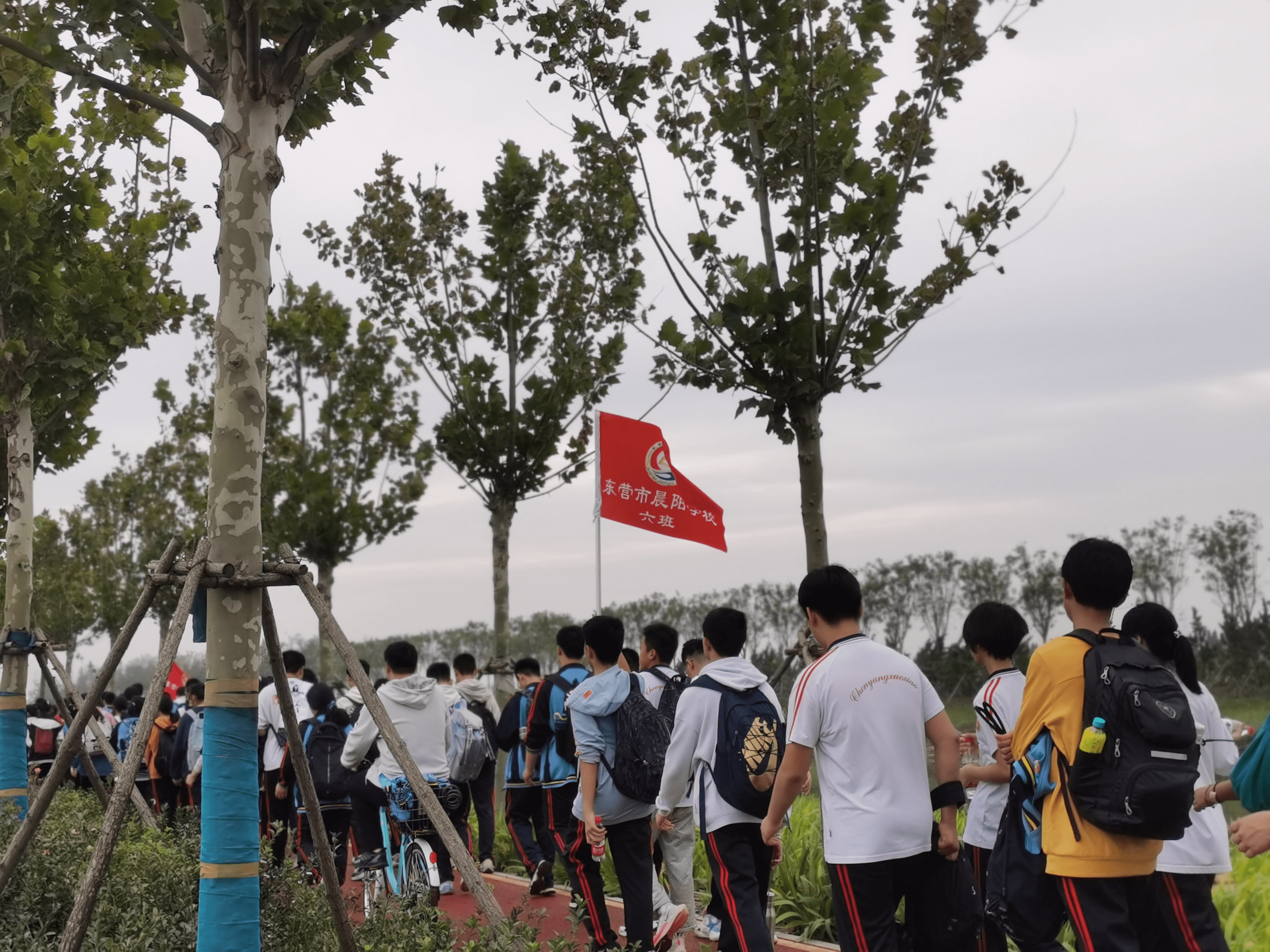 东营晨阳学校图片