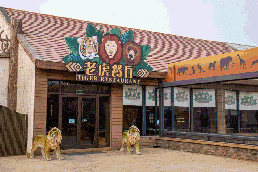 采光热量十足在老虎餐厅动物主题餐厅animal接下来堡堡带你一起去打卡