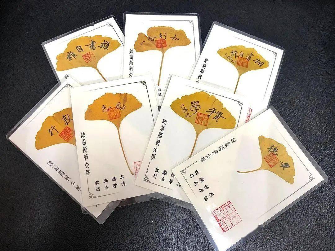 西安一高校收集落叶,只为这件事._书签