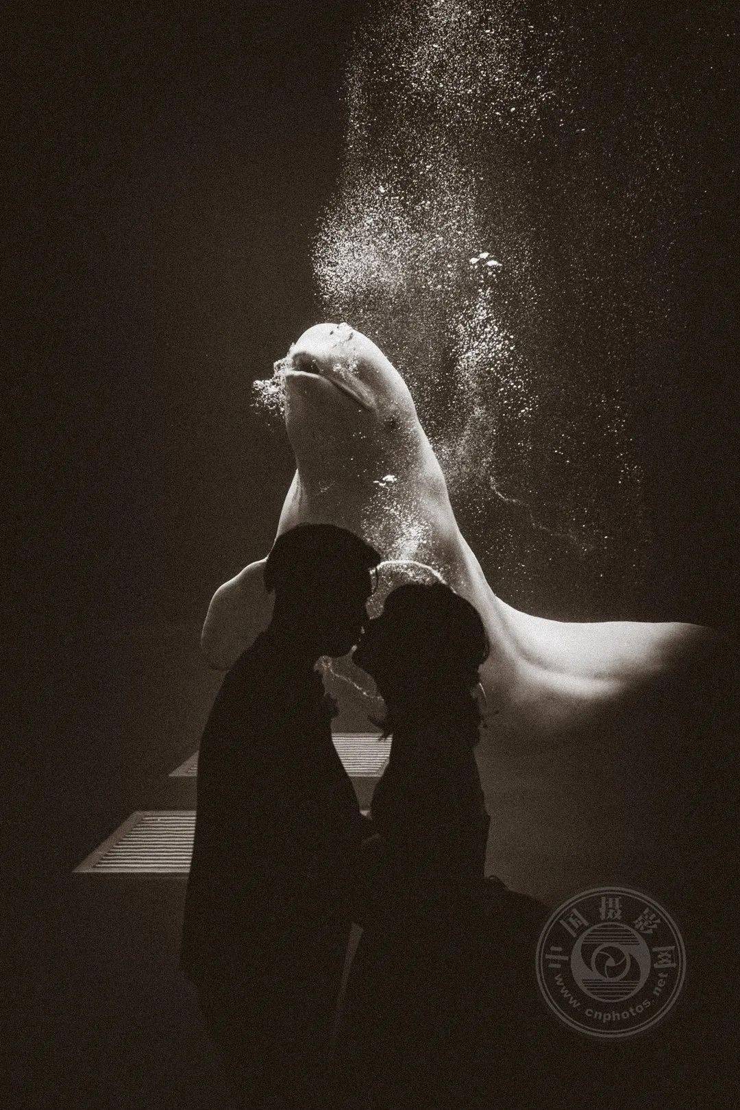 Mel2021年IPA国际摄影奖获奖作品公布——专业组-事件类