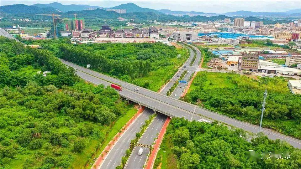 大涌镇未来五年发展蓝图来了