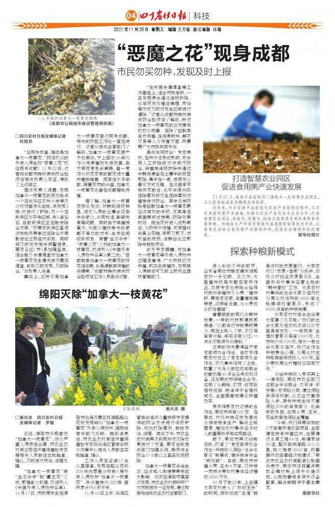 打造智慧农业园区促进食用菌产业快速发展