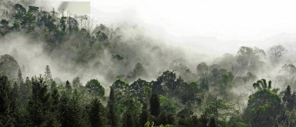 云雾|山在观山色，雨来听雨声