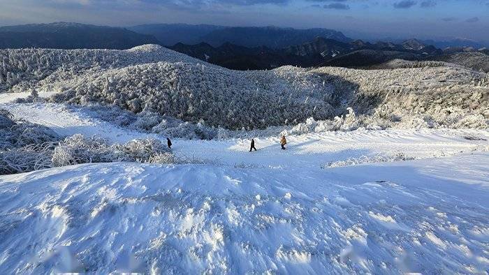 国家|重庆石柱千野草场美如画 大风堡彩林扮“彩妆”