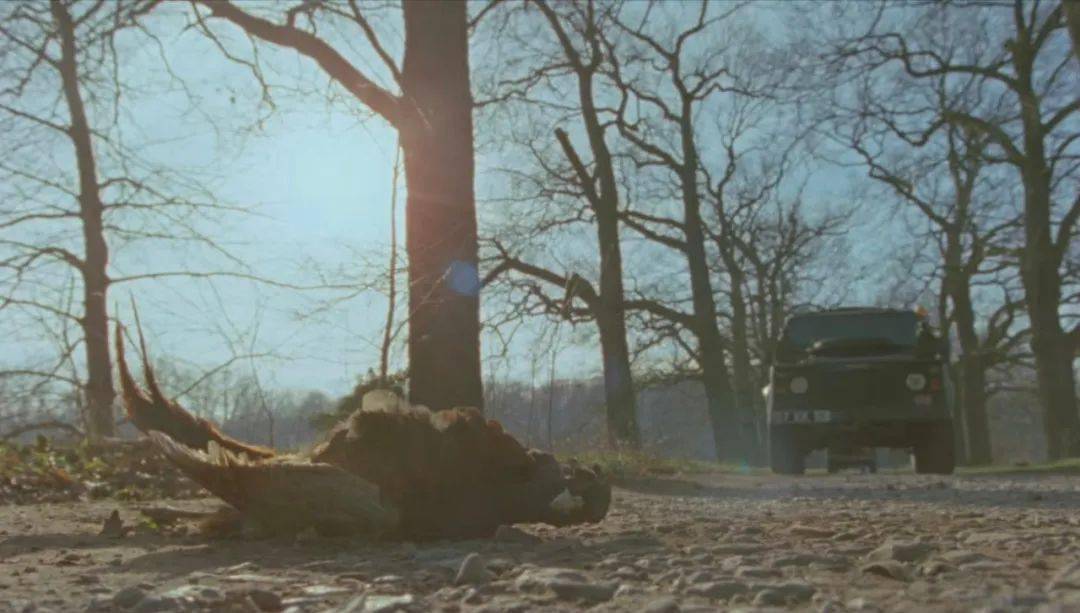 黛安娜|你可以不喜欢,但她仍是今年最有话题性的电影!