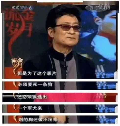 鹦鹉|圈内到底还有没有底线?