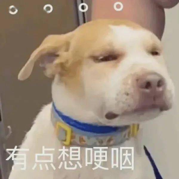 发型这3个发型真的别留!显土显脸大!