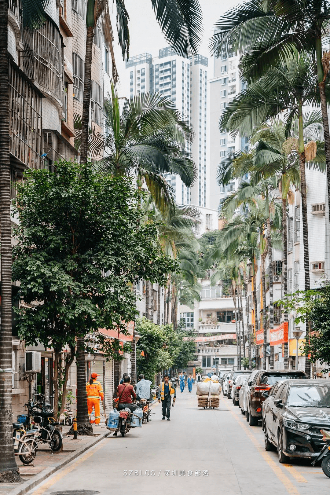 “再见了，田心村”