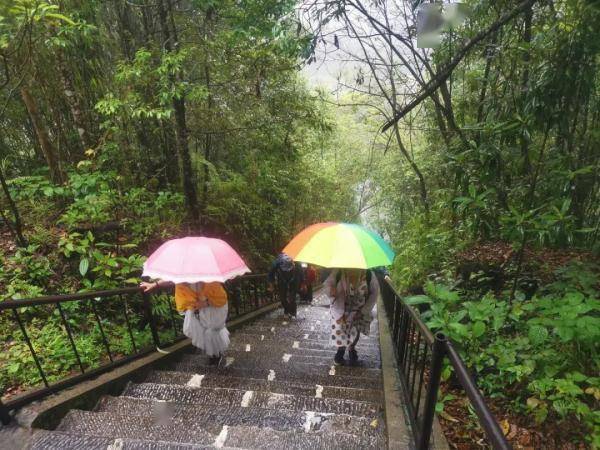 云雾|山在观山色，雨来听雨声