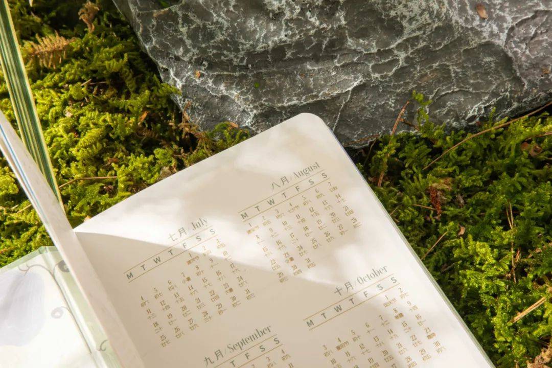 手帐来了|| 因为它，我今年的愿望基本都实现了！