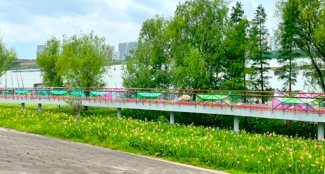 花海步道图片