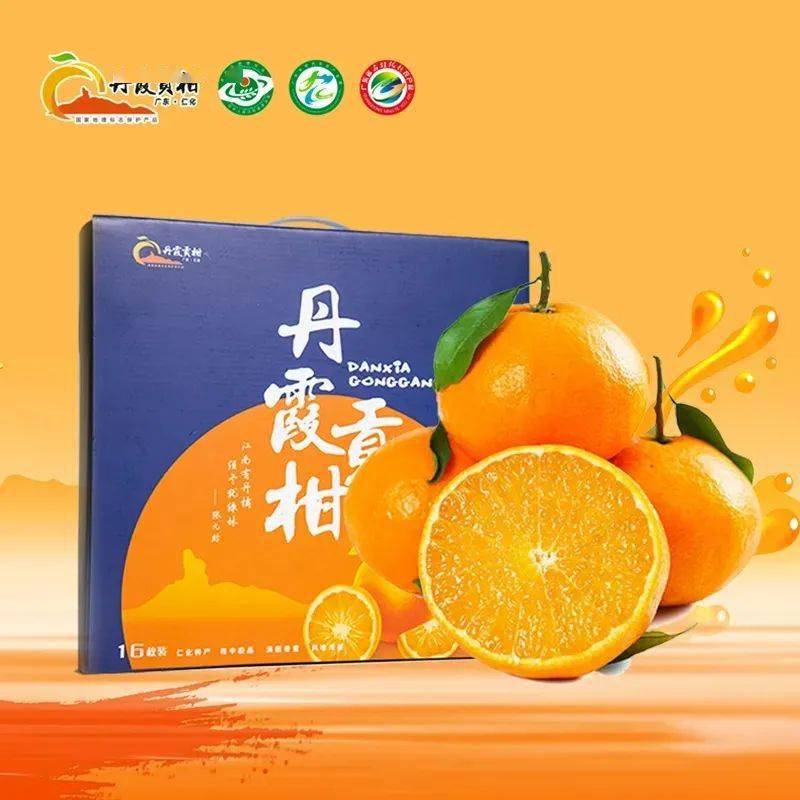 皮薄味甜一口爆汁的仁化丹霞贡柑新鲜上市啦戳进来有买买买攻略