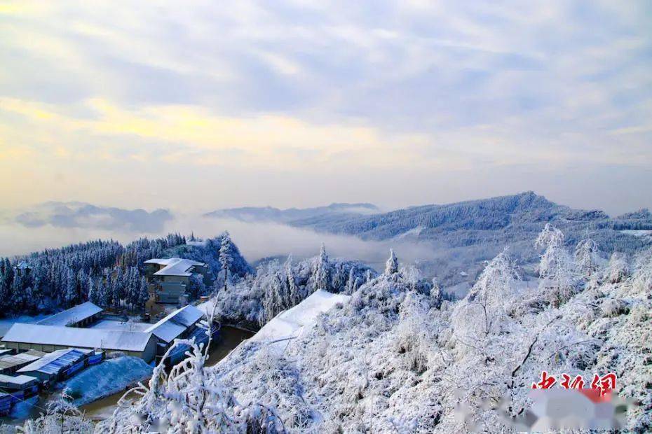 问题|成年人的情商，都在细节里丨夜读