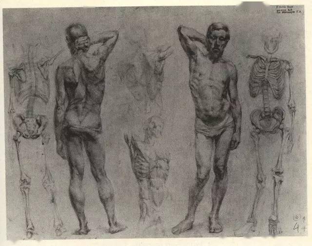 列宾美院经典人体素描建议收藏