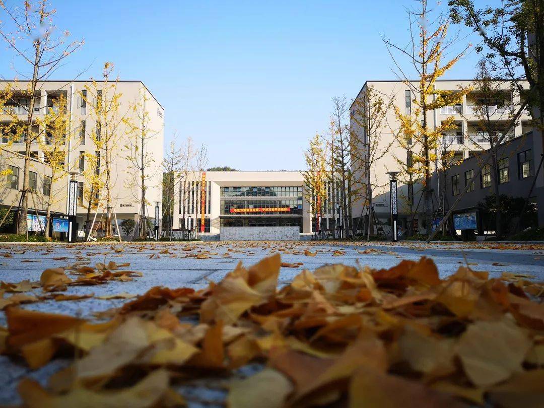 临安中学摄影/孙乐怡,李雪凝,张瀚文,励昂吉,吴炜秋已深,冬将至,小雪