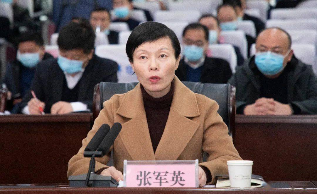 张军英对《河南省平安村(社区),企事业单位创建工作指南》进行了解读.