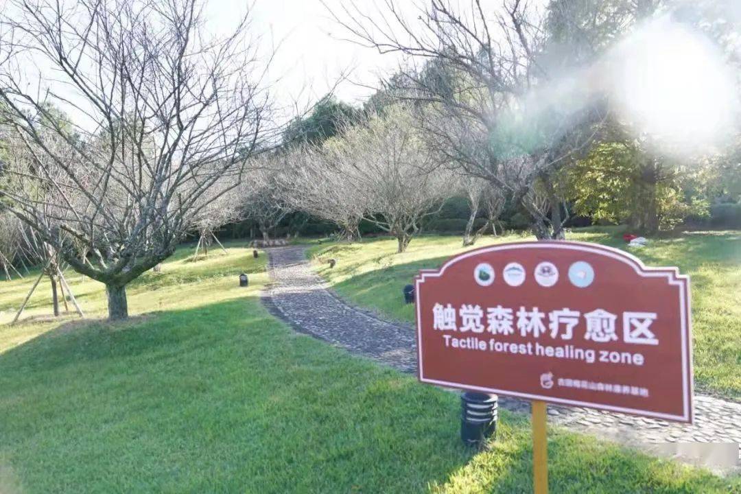 古田梅花山森林康养基地入选2021年福建省级森林康养基地