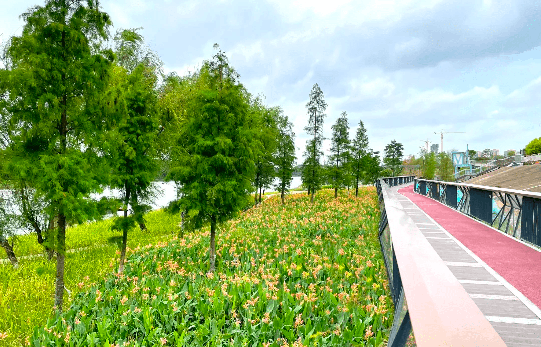 花海步道图片