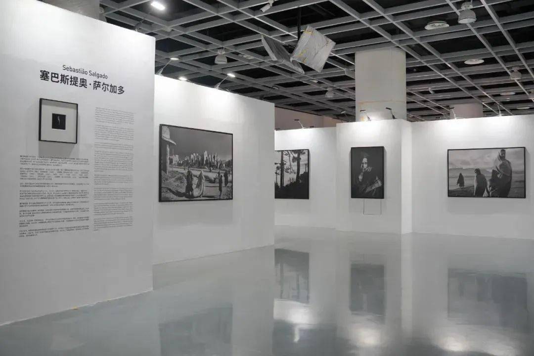 周末看展 | 第七届集美·阿尔勒国际摄影季_展览_中国_影像