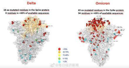 全球首张！奥密克戎毒株长这样