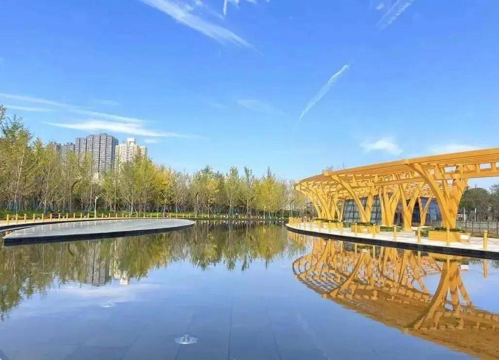 千年古都 常来长安 | 11月的幸福林带 "橙黄橘绿"让人惊艳!