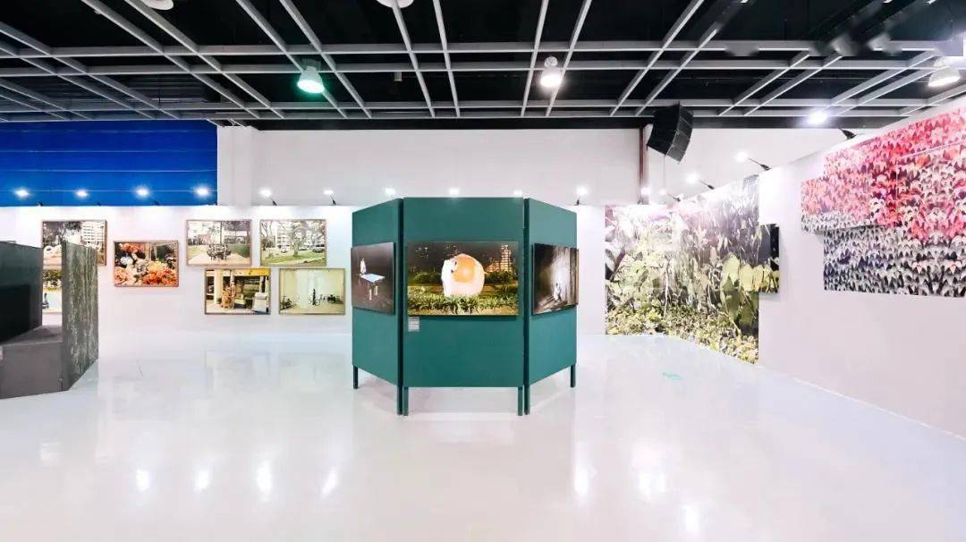 周末看展 | 第七届集美·阿尔勒国际摄影季_展览_中国_影像