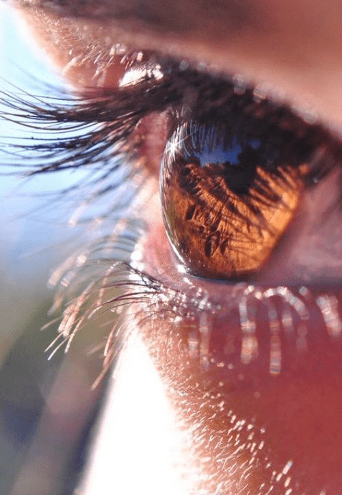 眼睛就是我们自己的"他们"好像但仔细一想发自内心的为"他们"抱不平听