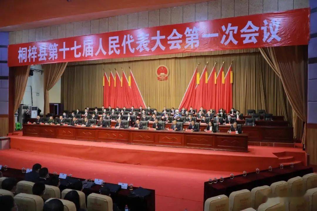 根据计票结果,易贤当选为桐梓县人民政府县长;王镇飞,欧阳举,陈姝宏