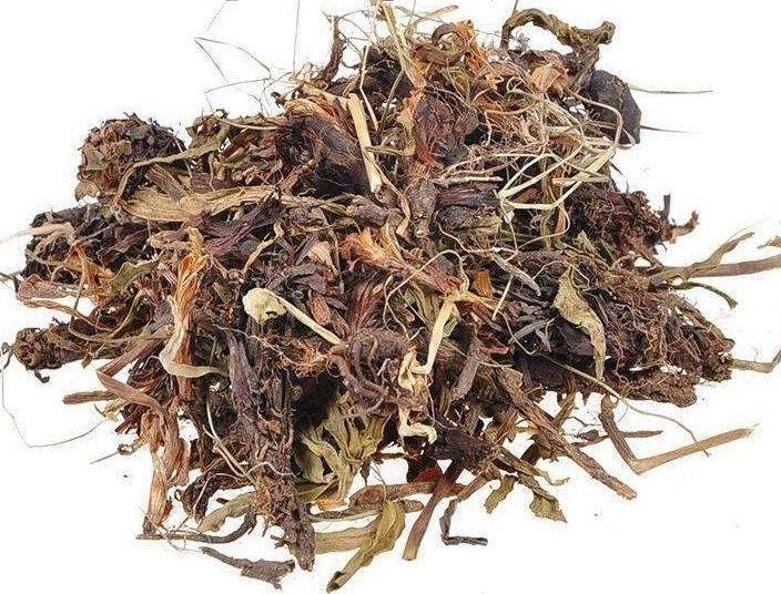 每日中药败酱草