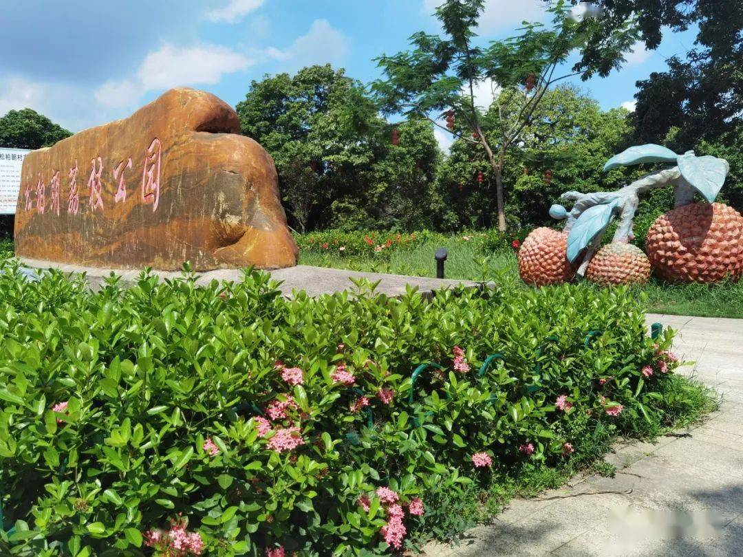 松柏朗居民的每日打卡地松柏朗荔枝公园03| 地址 |该公园拥有独特的