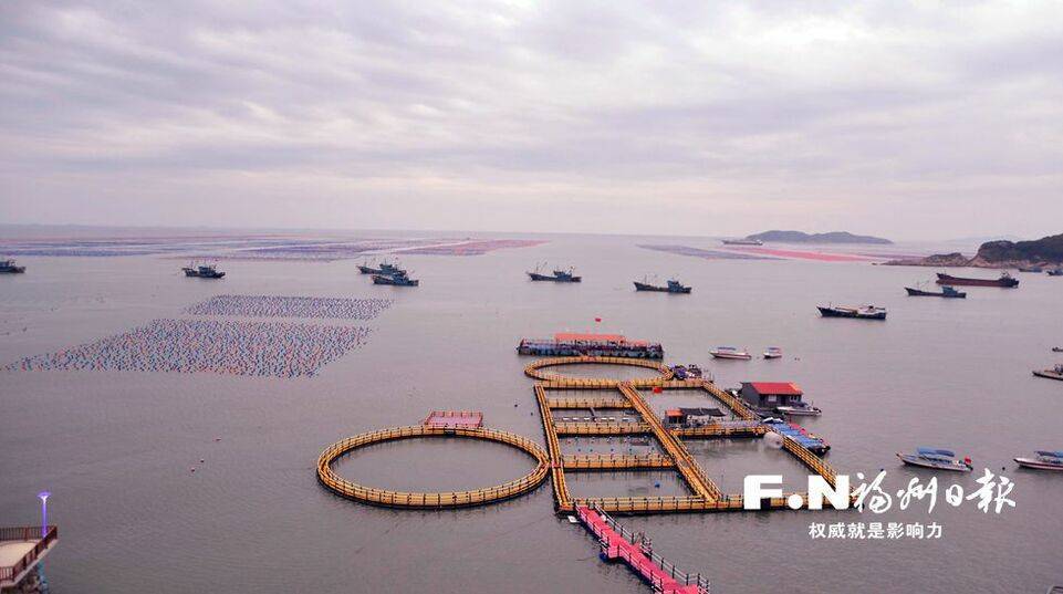 連江定海灣海上養殖.記者 鄭帥攝