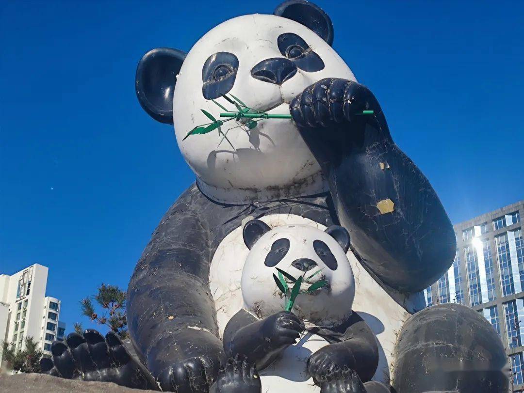 北京熊猫环岛老照片图片